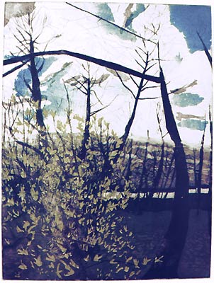 Am Müggelsee, Radierung mit Aquatinta, 40 x 30 cm, 1997