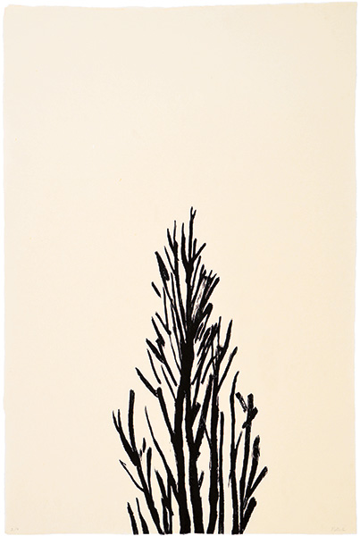 Japanese woodblock print, 73 x 55 cm, 2006