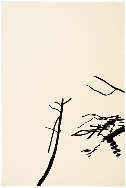 Japanese woodblock print, 73 x 55 cm, 2006