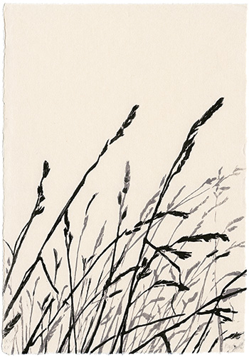 Ukikusa – Wogende Gräser, japanischer Holzschnitt, 35 x 25, 2008