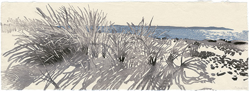 Ostsee, Gräser, japanischer Holzschnitt, 24 x 67 cm, 2009