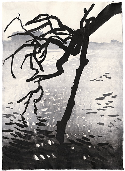 Broken Branch, Japanese woodblock print, 54 x 40 cm, 2022